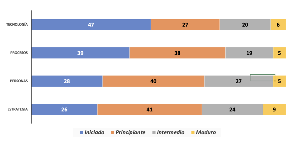 niveles de madurez por dimensión