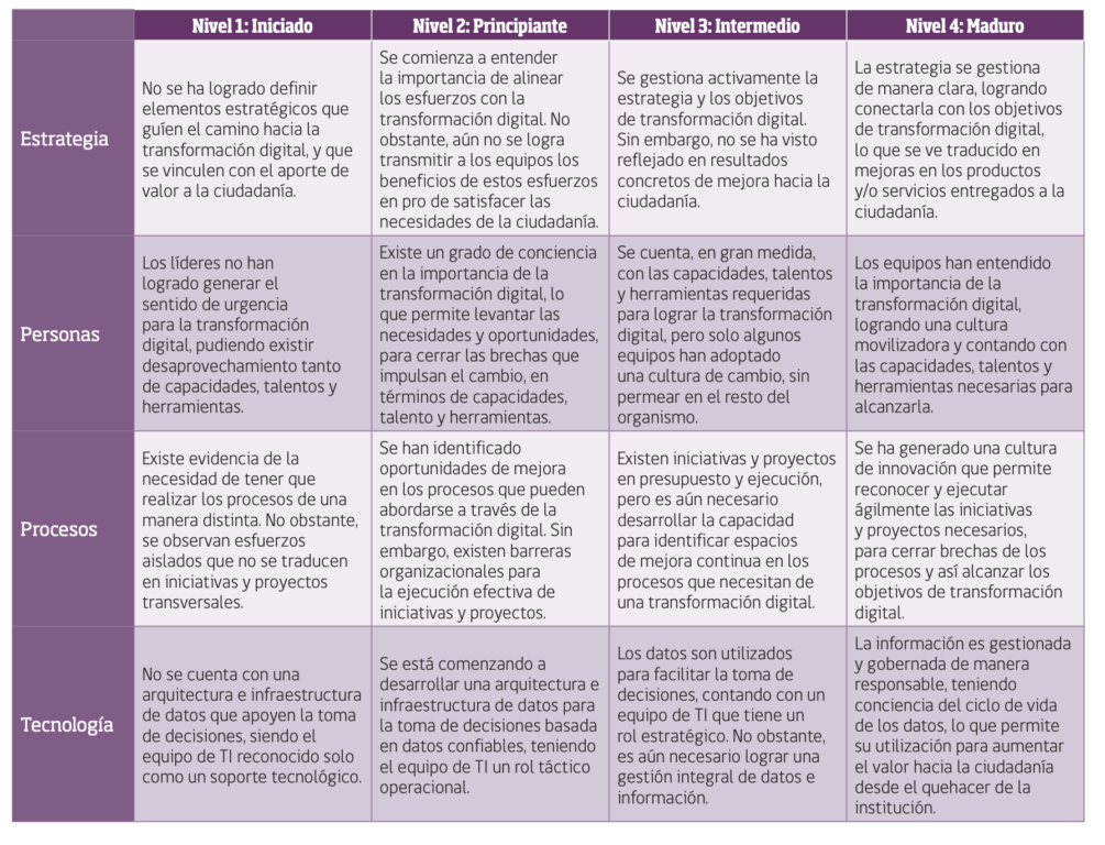 niveles de madurez por dimensión